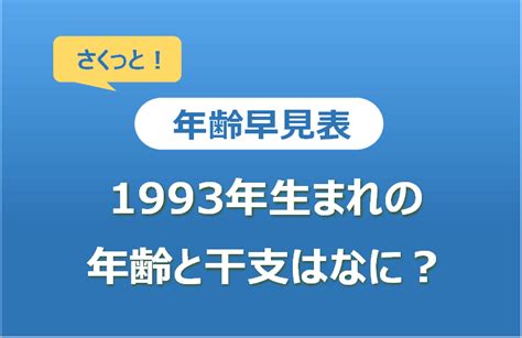 1993年生效|1993年